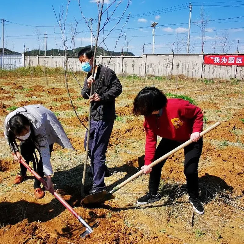 3月12日植樹節(jié)：讓綠色理念生根發(fā)芽！
